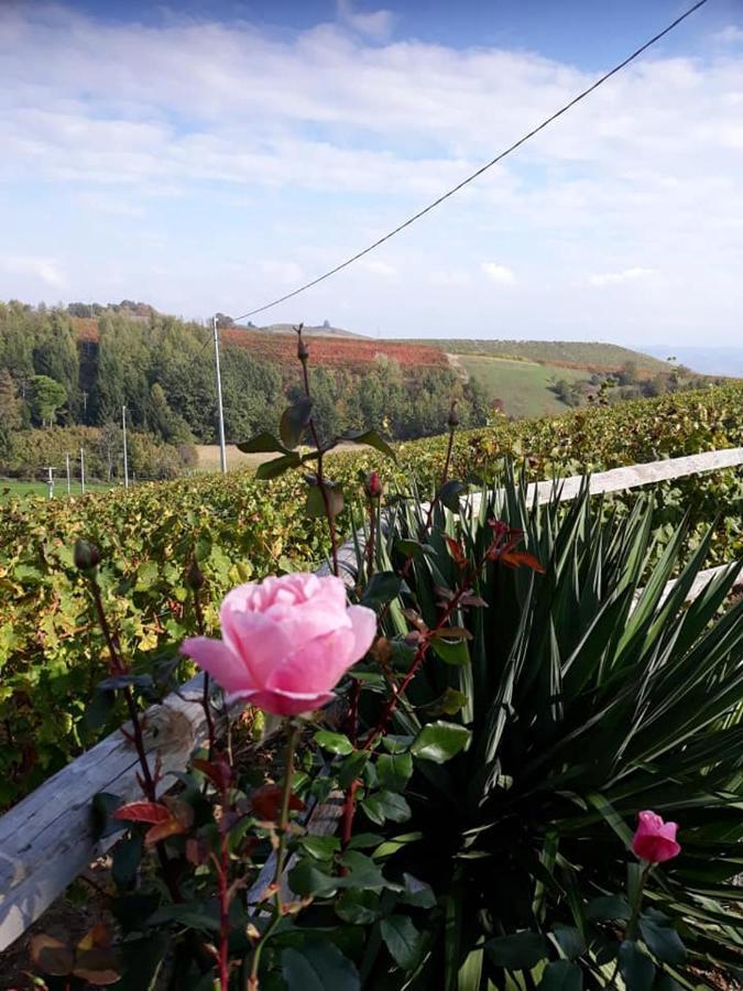 Ca Du Ruja Guest House Strevi ภายนอก รูปภาพ